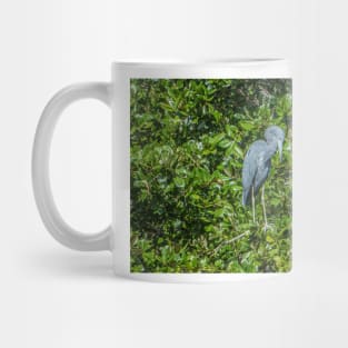 Little Blue Heron Mug